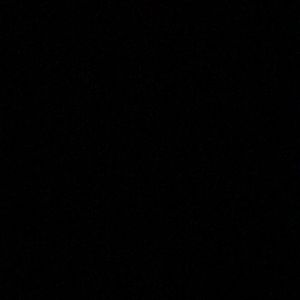 Meet your Posher, Jake